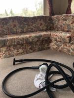 Trees Carpet Cleaning image 16